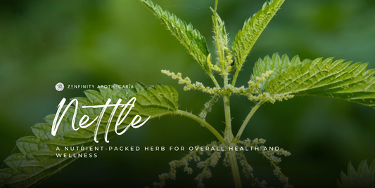 Nettle: A Nutrient-Packed Herb for Overall Health and Wellness