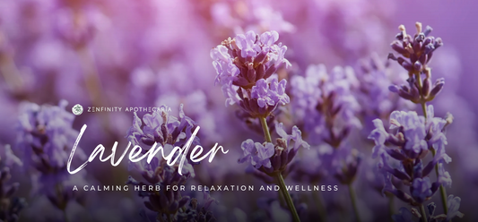 Lavender: A Calming Herb for Relaxation and Wellness