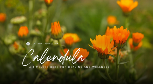 Calendula: A Timeless Herb for Healing and Wellness