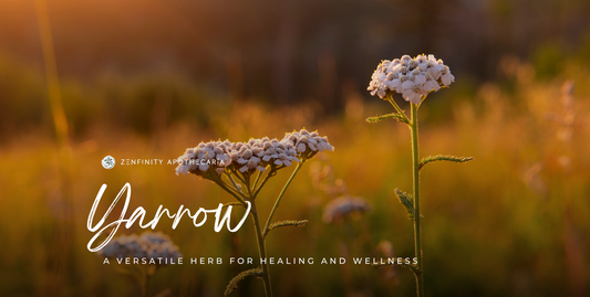 Yarrow: A Versatile Herb for Healing and Wellness