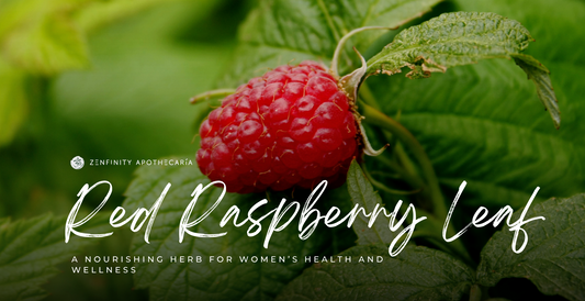 Red Raspberry Leaf: A Nourishing Herb for Women’s Health and Wellness