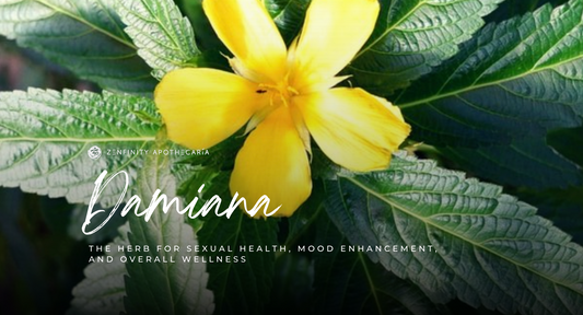 Damiana: The Herb for Sexual Health, Mood Enhancement, and Overall Wellness