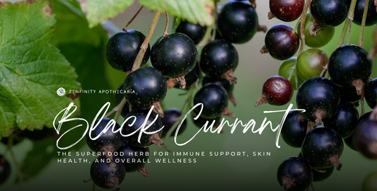 Black Currant: The Superfood Herb for Immune Support, Skin Health, and Overall Wellness