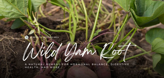 Wild Yam Root: A Natural Remedy for Hormonal Balance, Digestive Health, and More