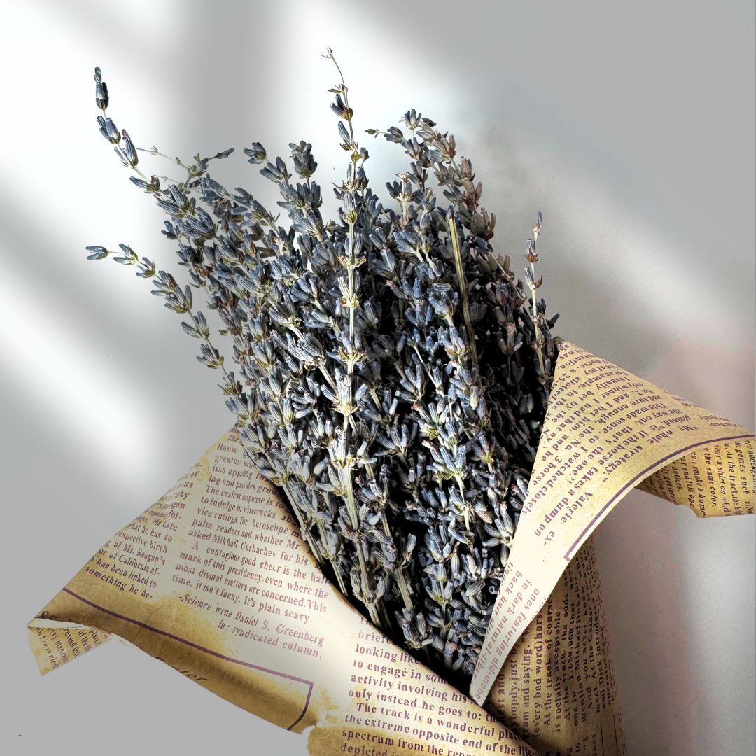 Dried Lavender Bundle