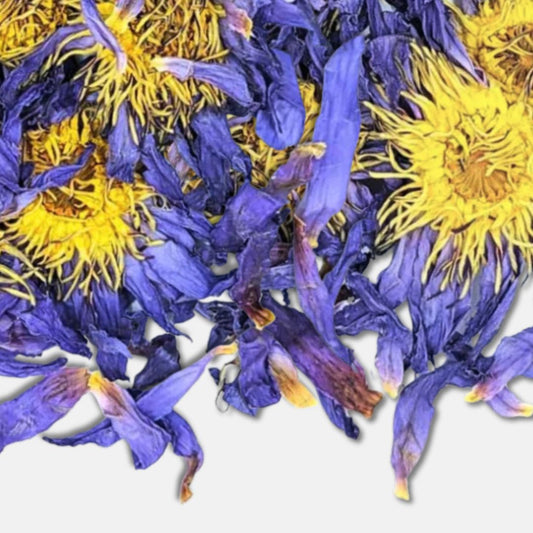 Loto azul