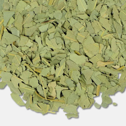 Eucalyptus Leaf