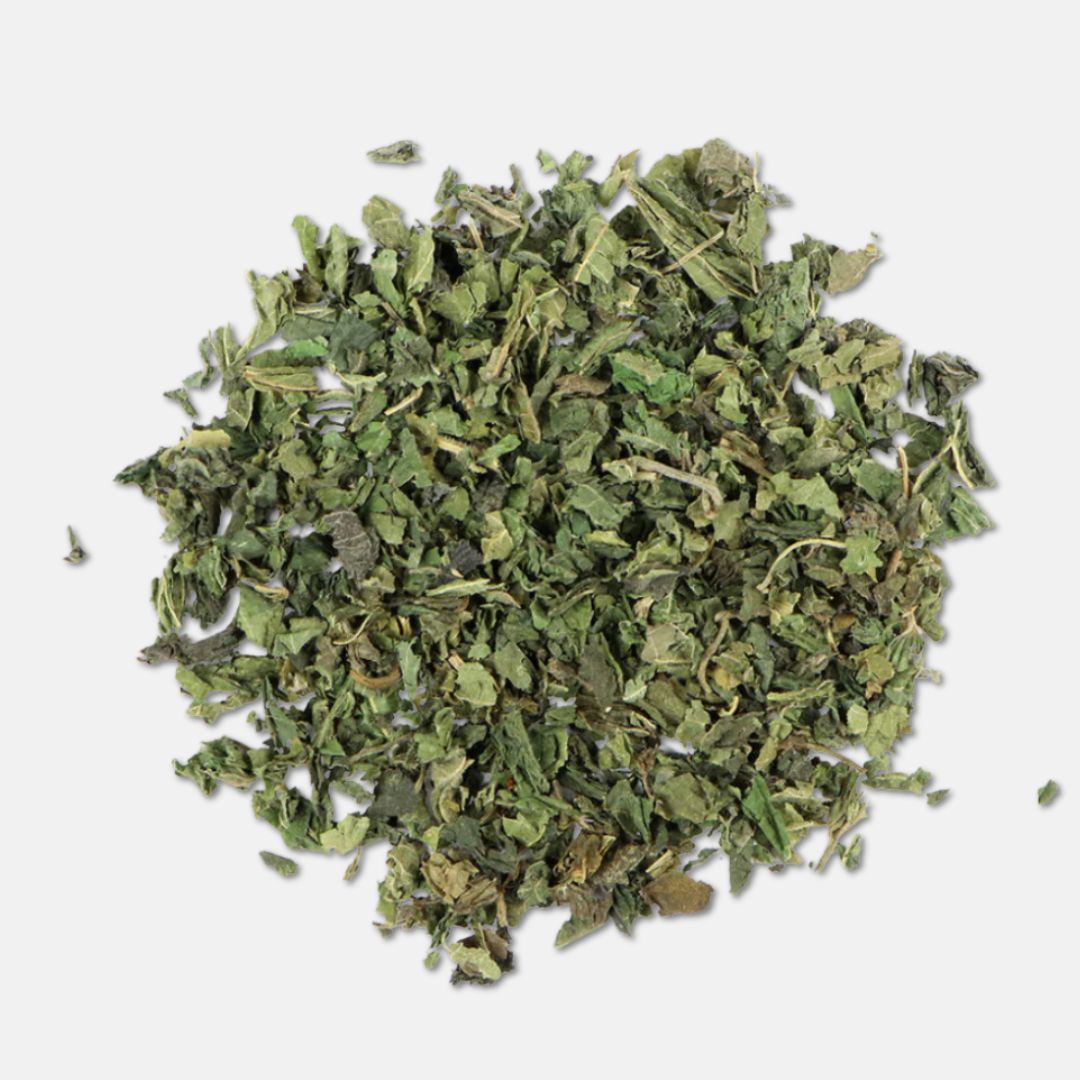 Hoja de ortiga