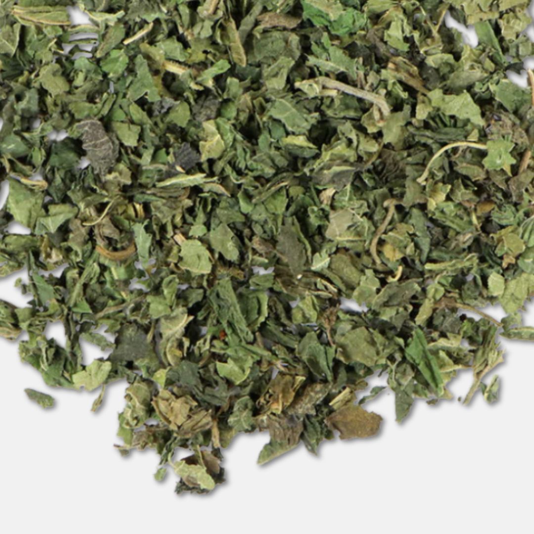 Hoja de ortiga