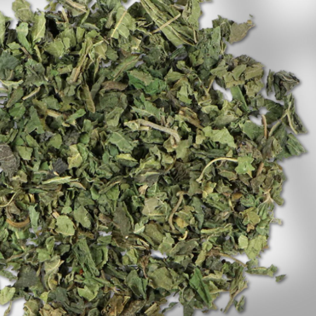 Hoja de ortiga
