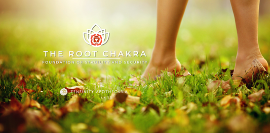 The Root Chakra: Foundation of Stability and Security