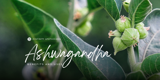 Ashwagandha: Benefits and Uses