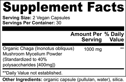 Hongo Chaga