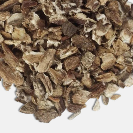 Burdock Root