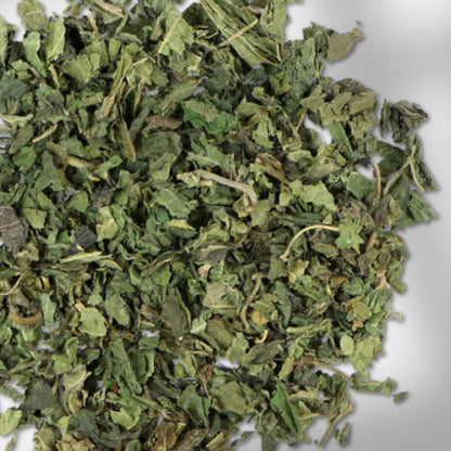 Hoja de ortiga